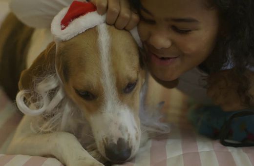 Clara's Ultimate Christmas