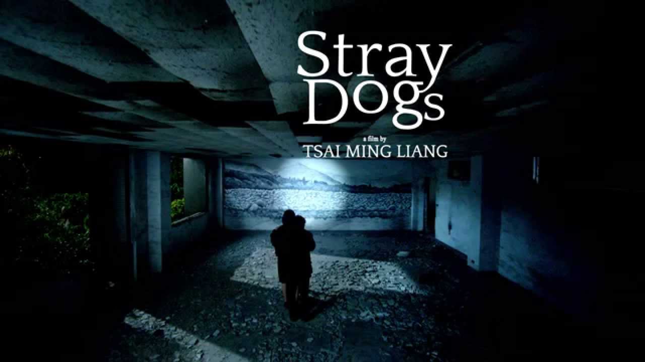 Stray Dogs