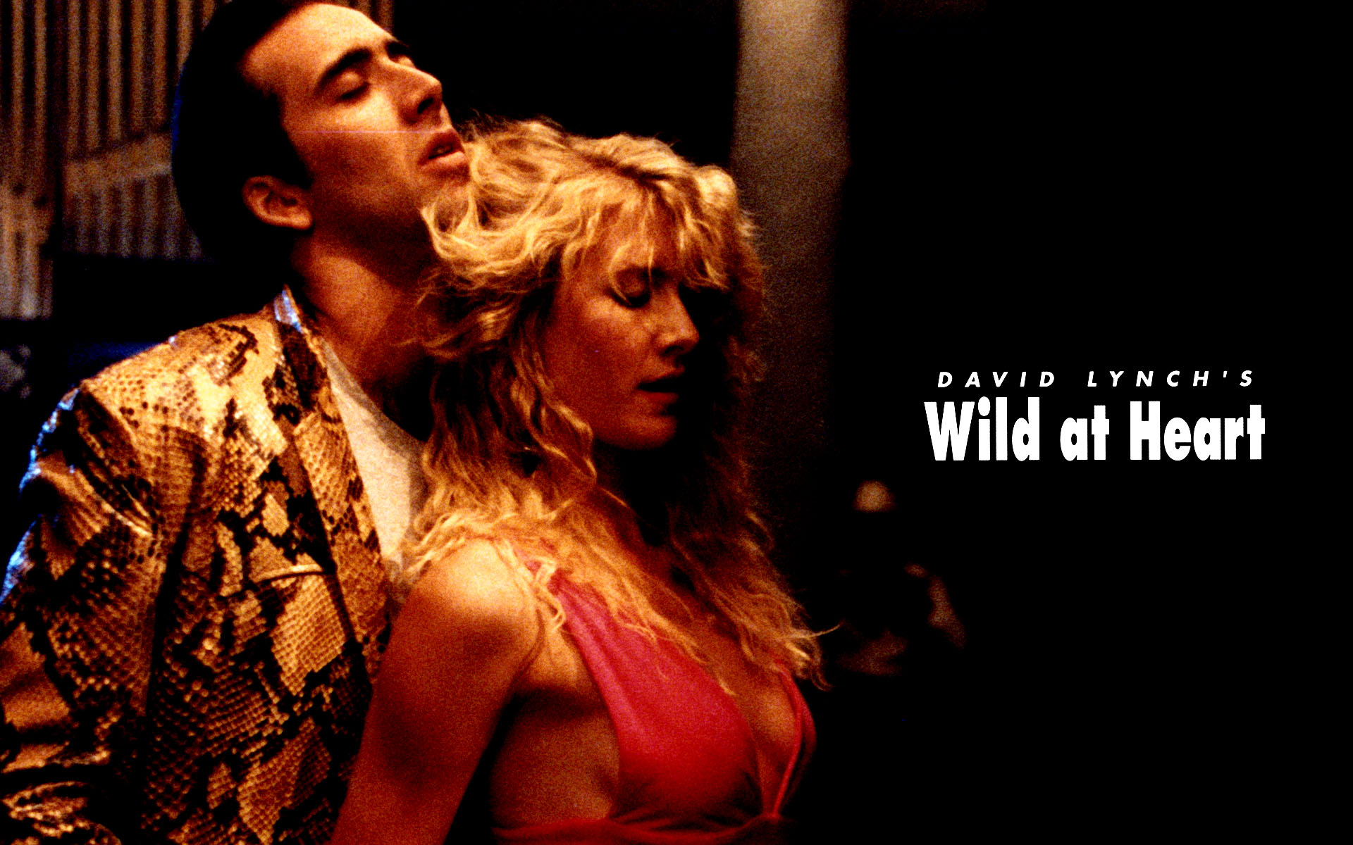 Wild At Heart