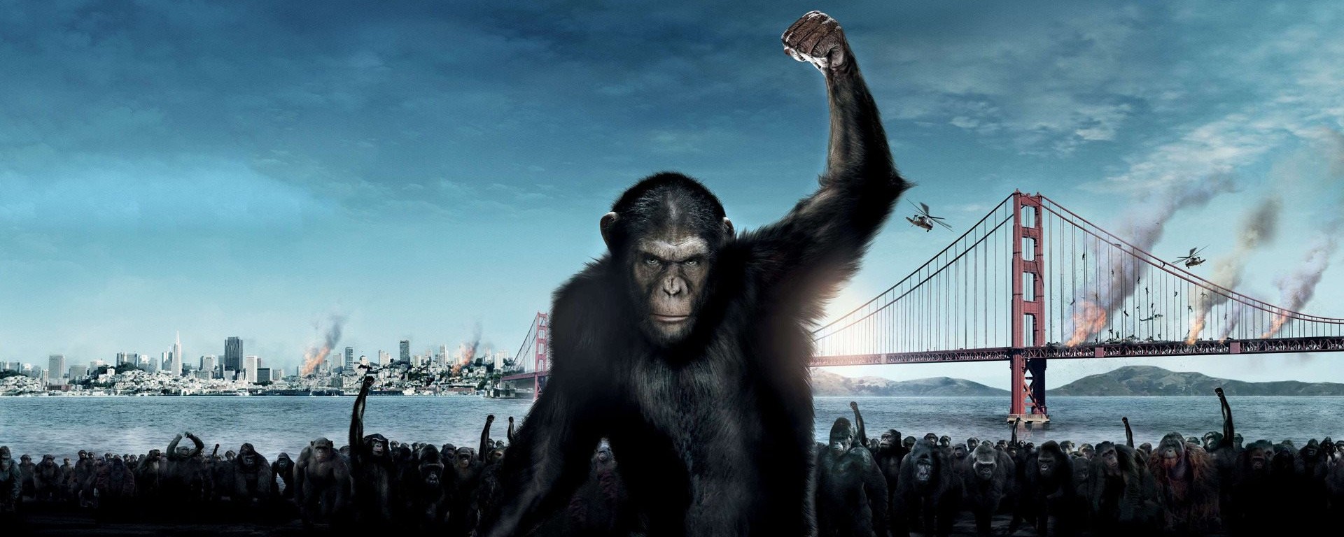 Rise Of The Planet Of The Apes