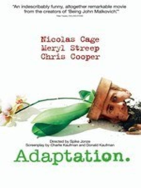Adaptation