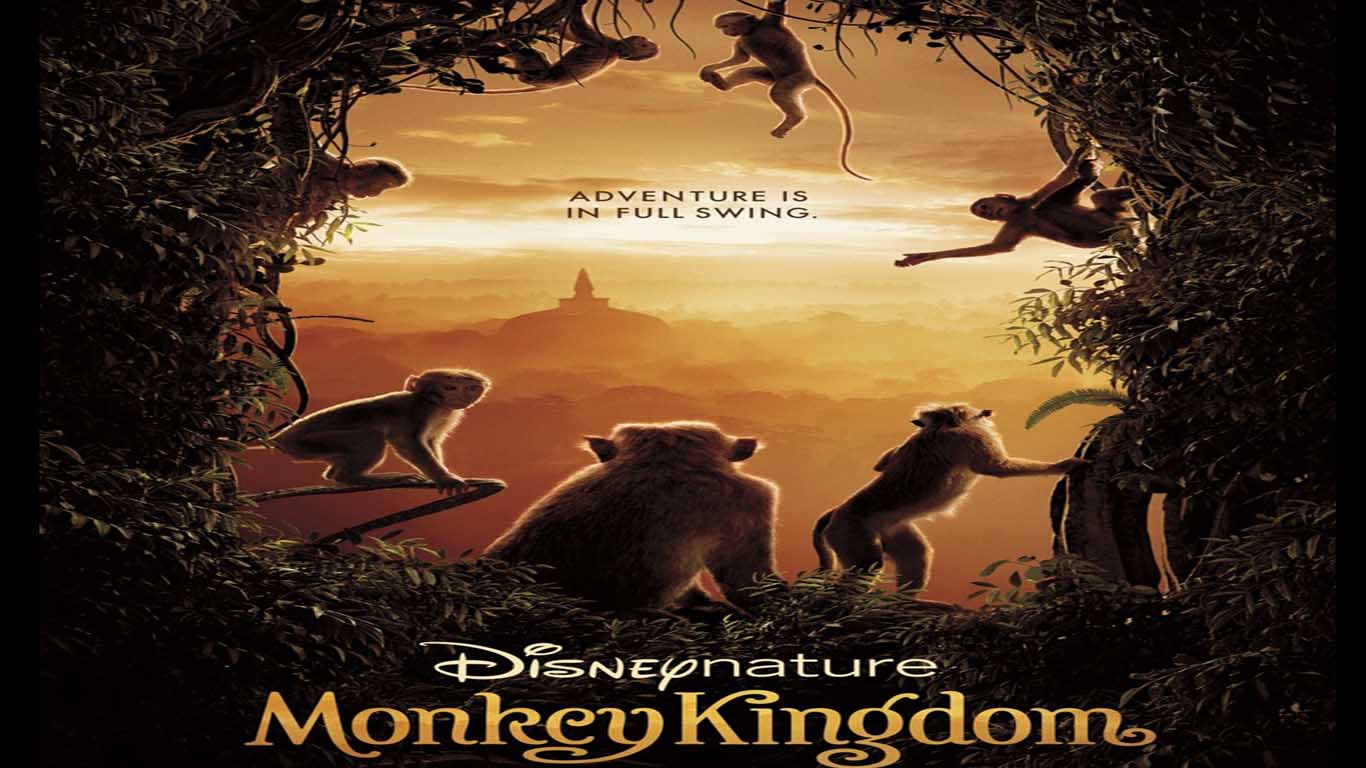 Monkey Kingdom 2015