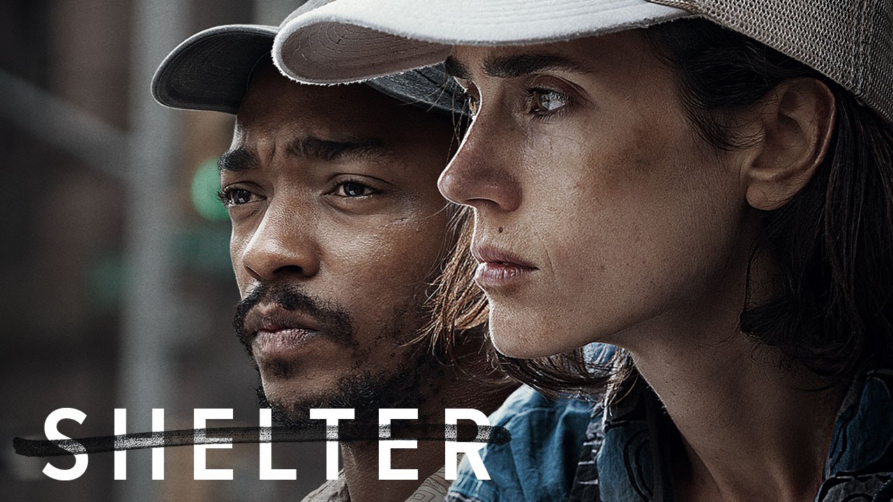 Shelter 2015