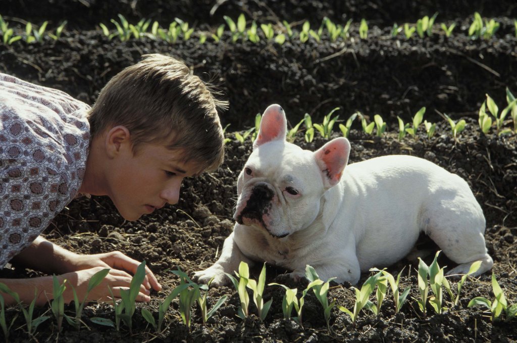 Secondhand Lions