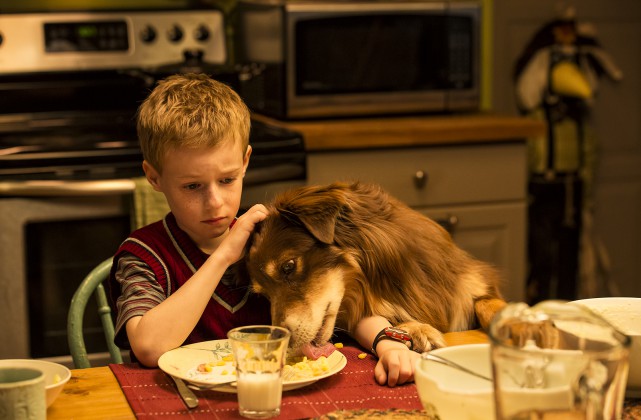 The Young and Prodigious T.S. Spivet