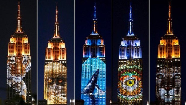 Racing Extinction