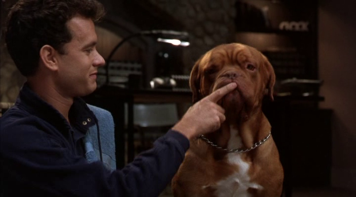 Turner And Hooch