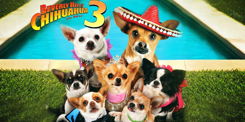 Beverly Hills Chihuahua 3: Viva la Fiesta!