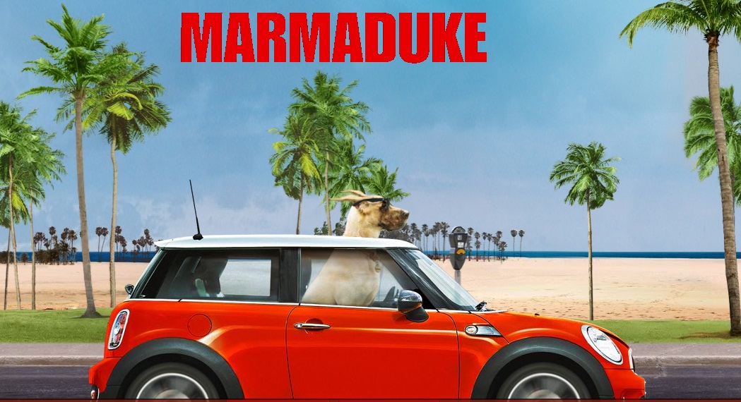 Marmaduke