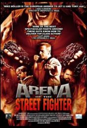 Arena of the Street Fighter