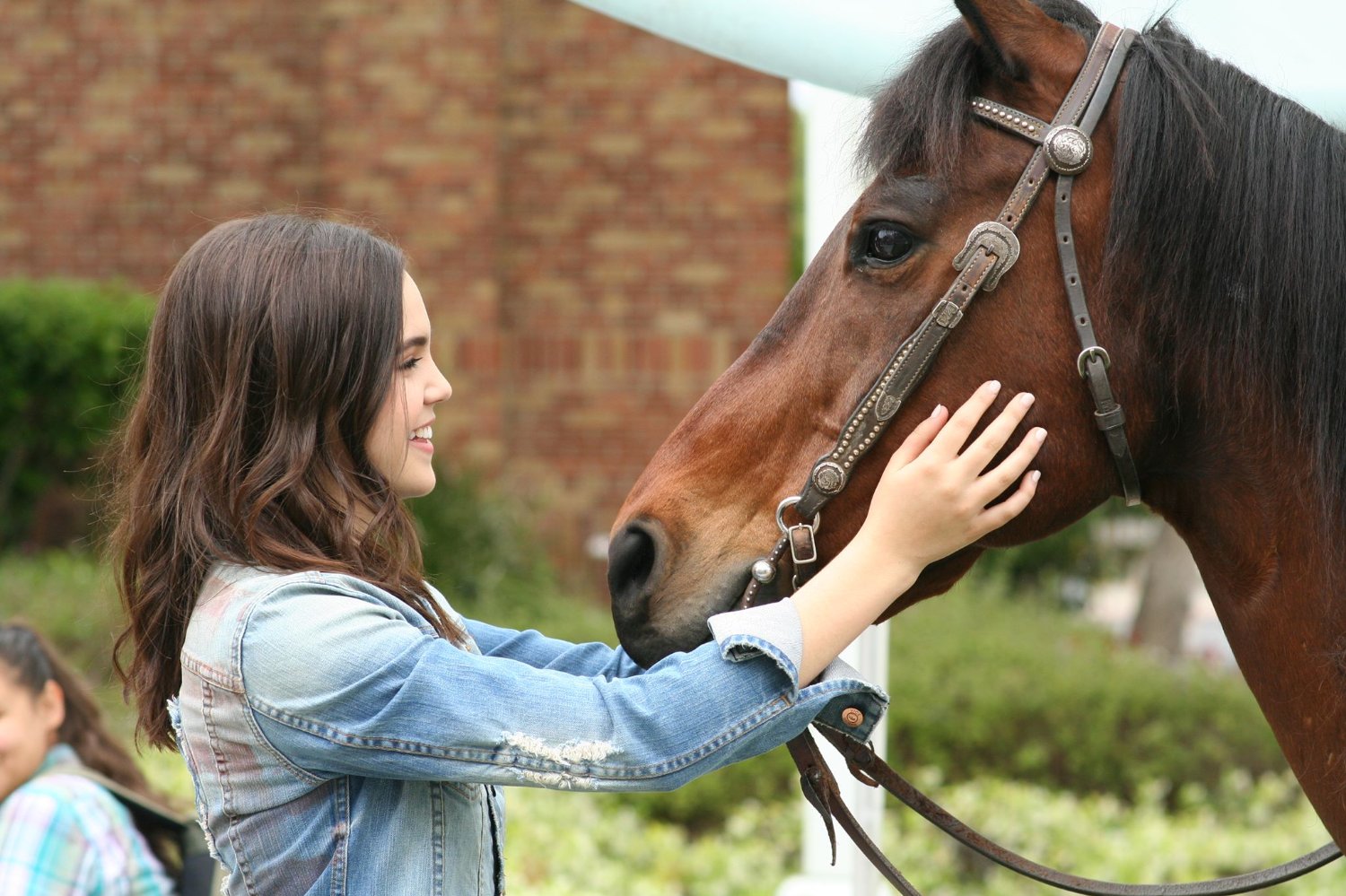 A Cowgirl's Story