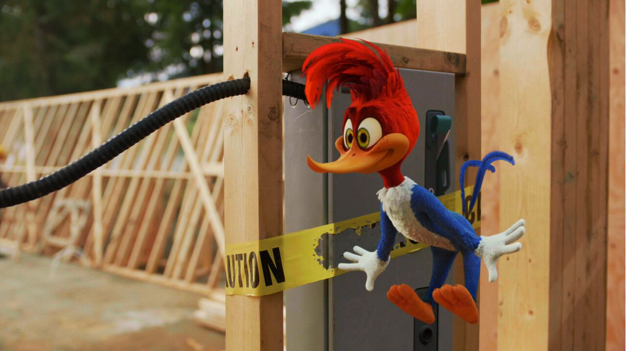 Woody Woodpecker