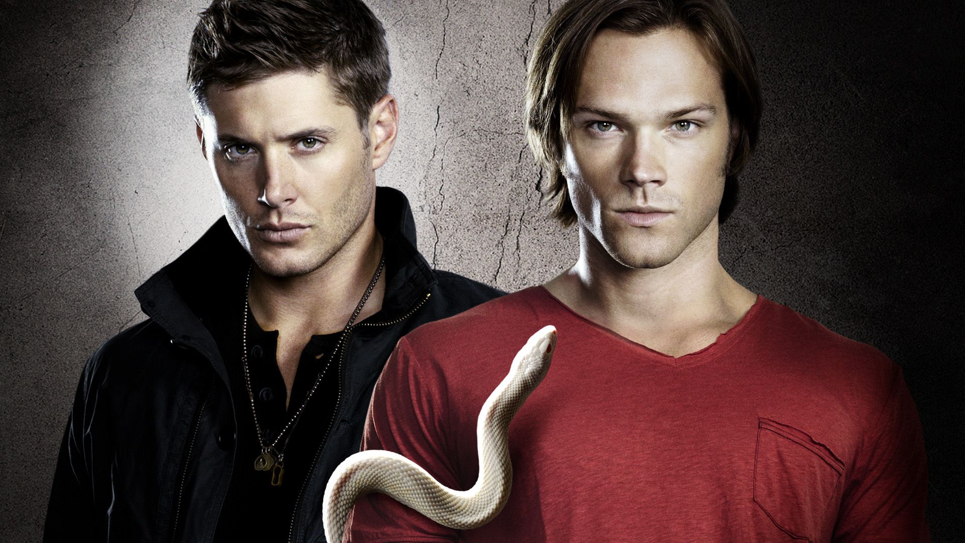 Supernatural - Season 6