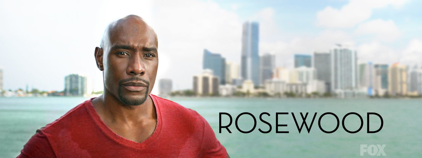 Rosewood - Season 1