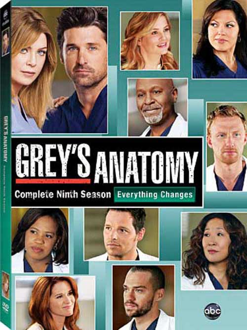 Greys Anatomy - Season 9