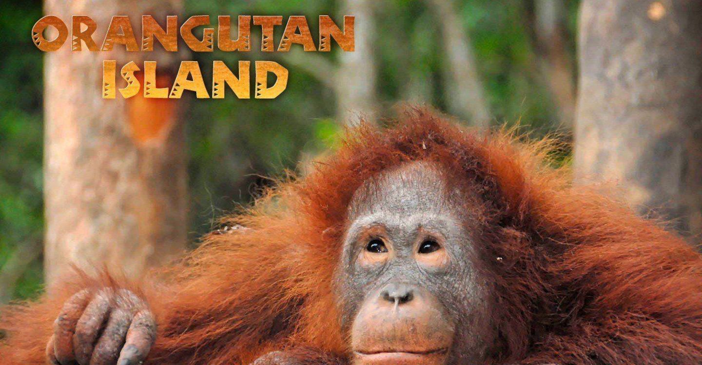 Orangutan Island - Season 1