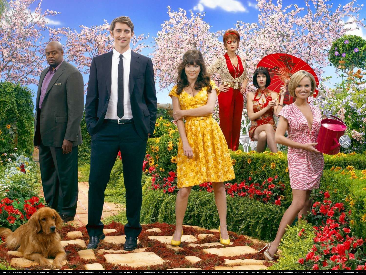 Pushing Daisies - Season 1