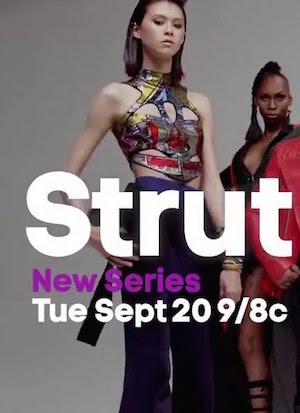 Strut - Season 1