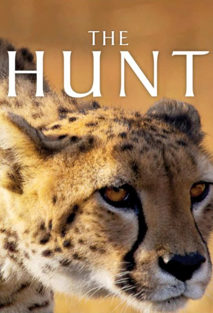 The Hunt - Season 1