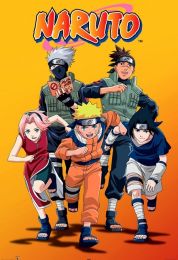 Naruto - Season 1 (English Audio)