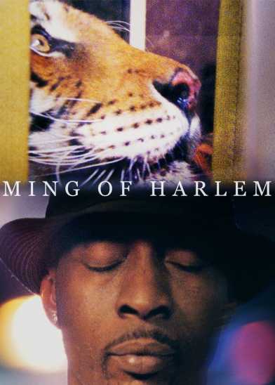 Ming of Harlem: Twenty One Storeys in the Air