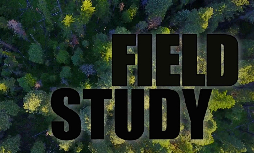 Field Study