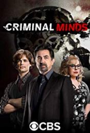 Criminal Minds - Season 14