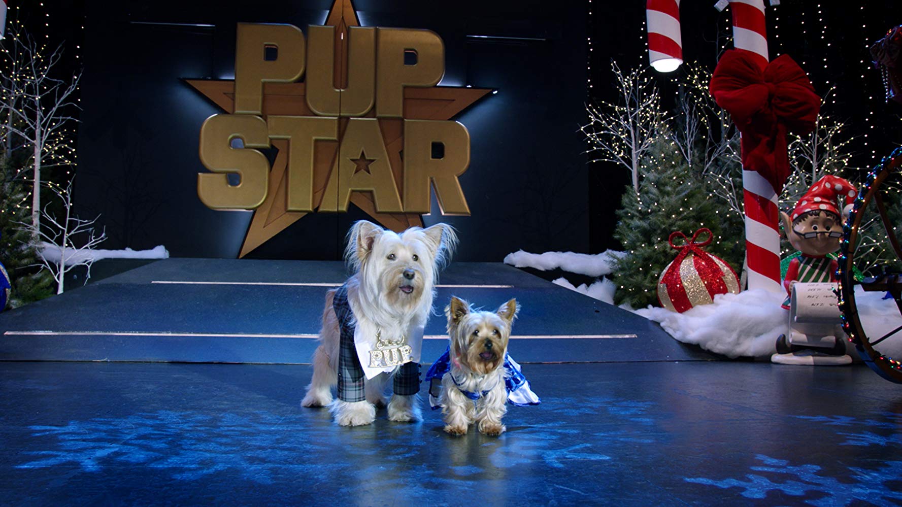 Puppy Star Christmas