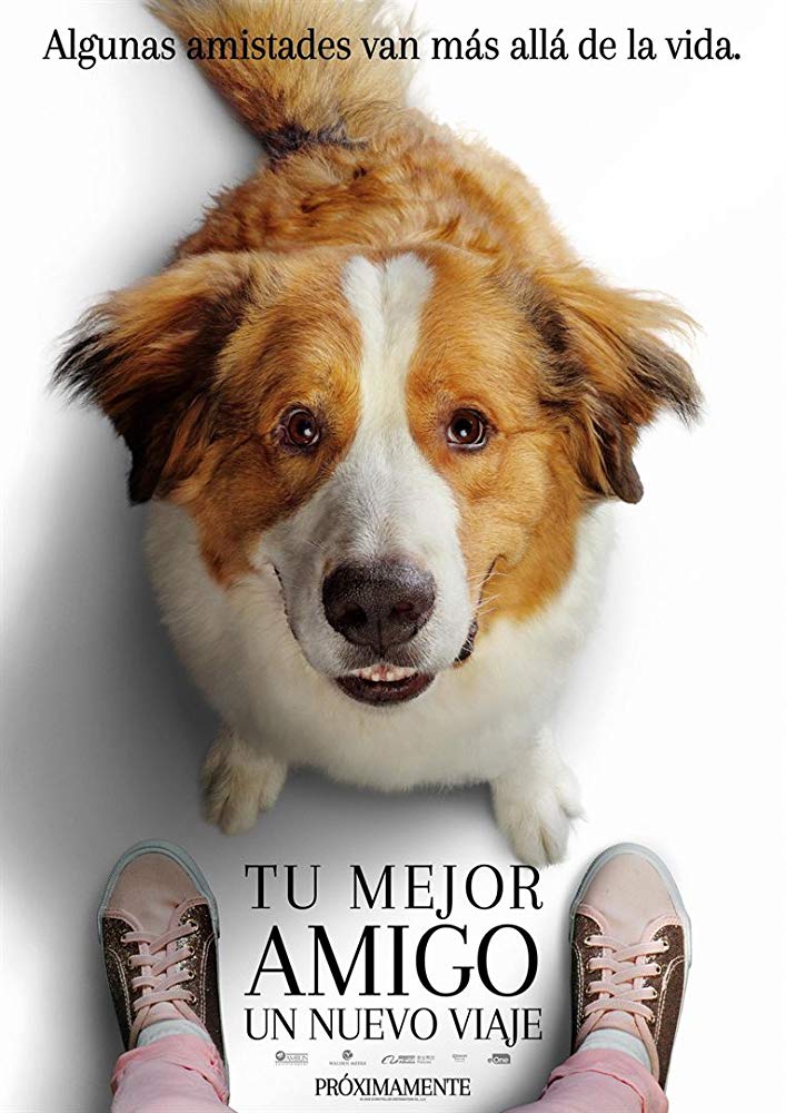 A Dogs Journey