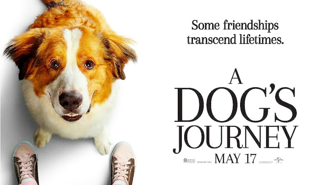 A Dogs Journey