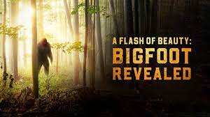 A Flash of Beauty: Bigfoot Revealed