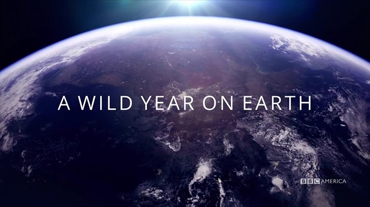 A Wild Year on Earth - Season 1