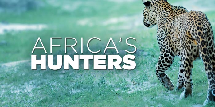 Africa's Hunters - Season 1