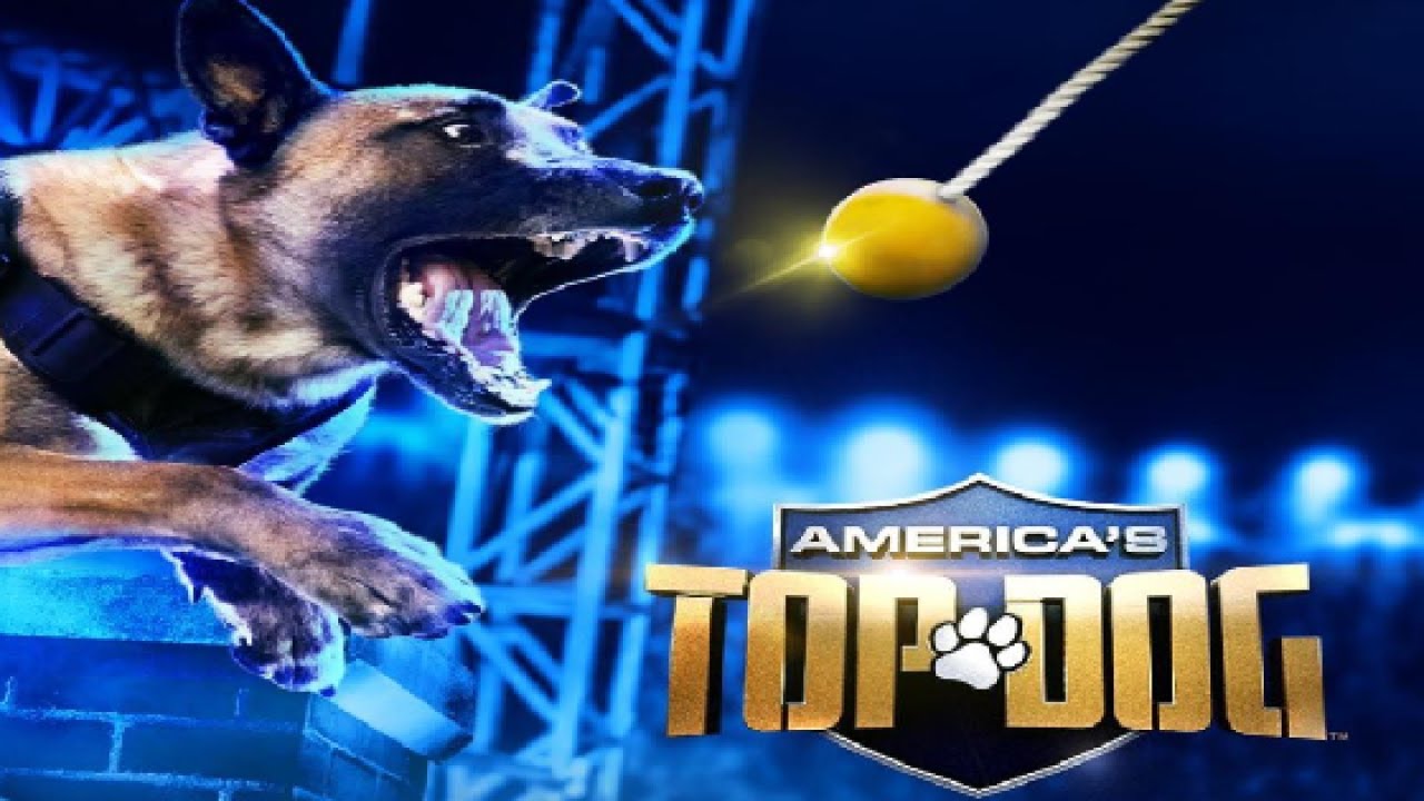 America's Top Dog - Season 2