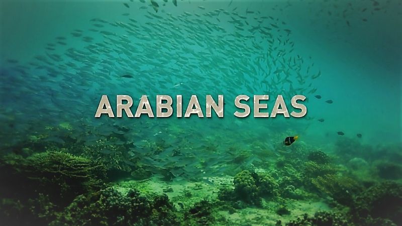 Arabian Seas - Season 1