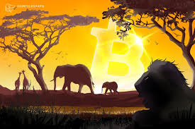 Banking on Africa: The Bitcoin Revolution