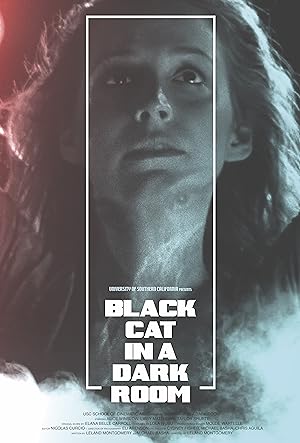 Black Cat In A Dark Room (short 2019)