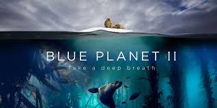 Blue Planet II - Season 1