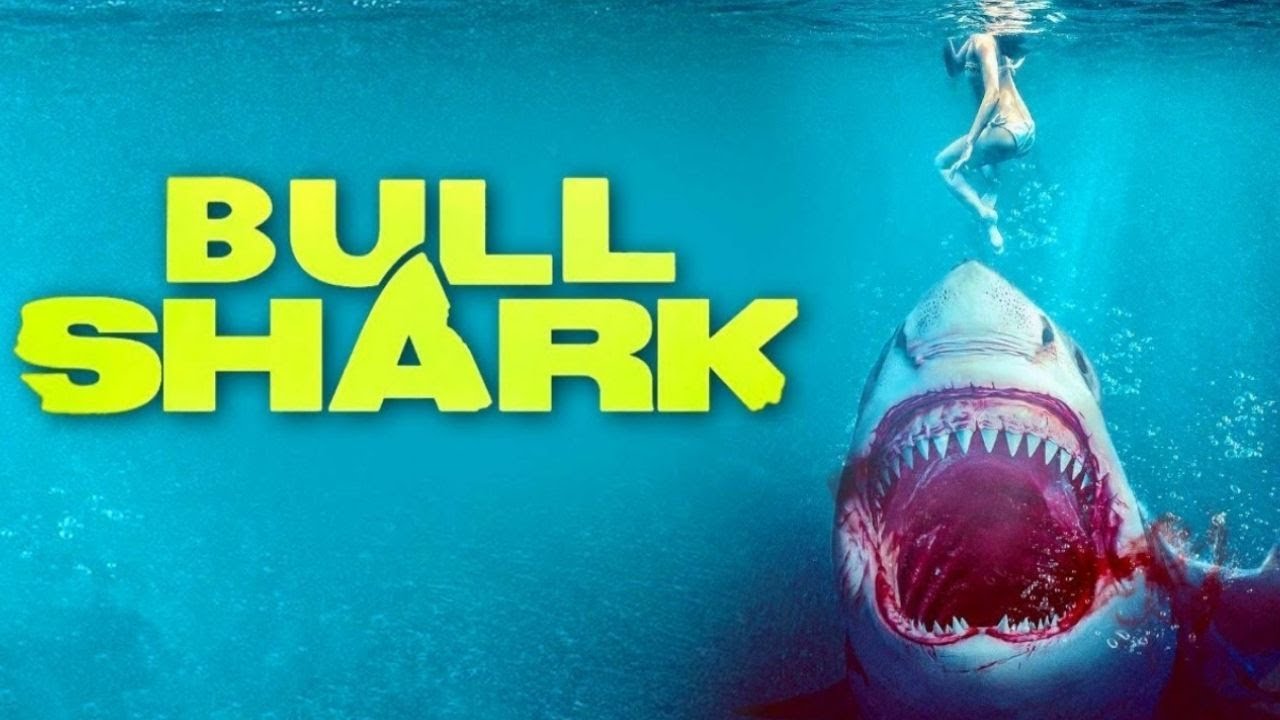 Bull Shark