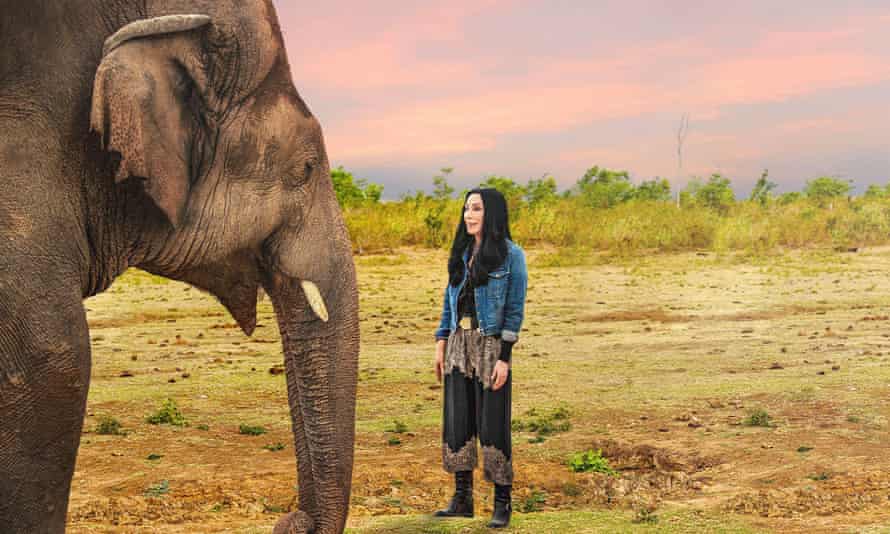 Cher and the Loneliest Elephant