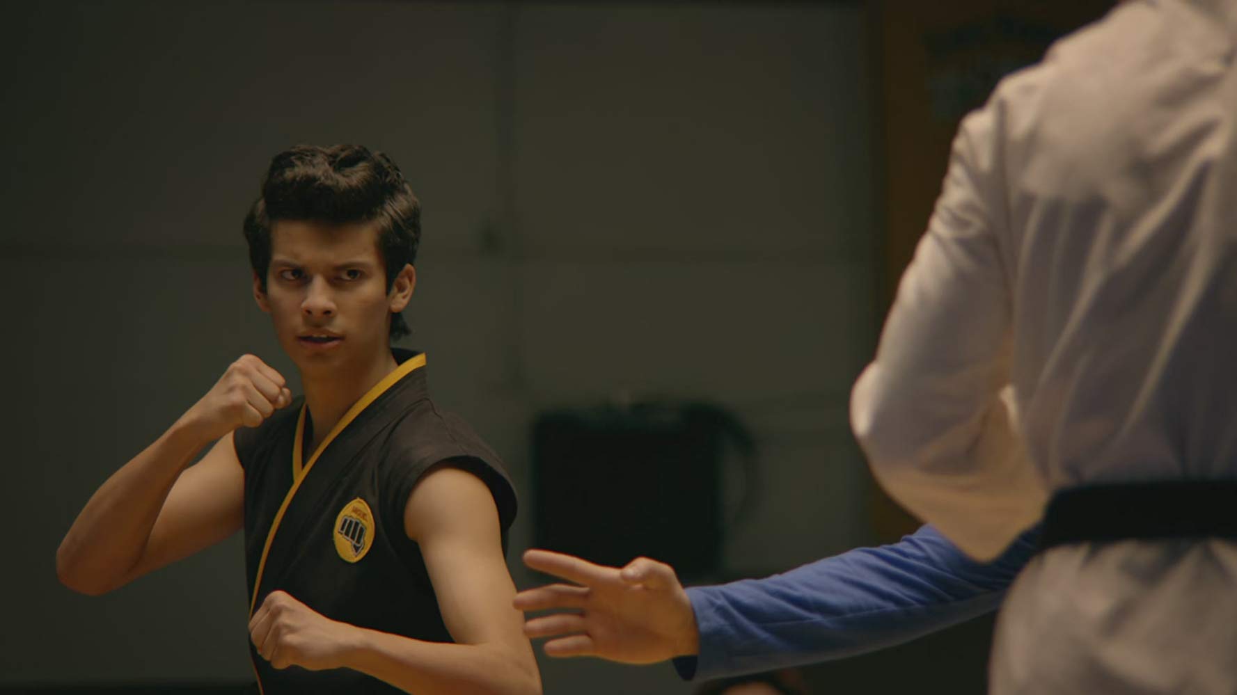 Cobra Kai - Season 2