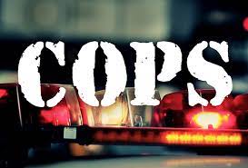 Cops - Season 33