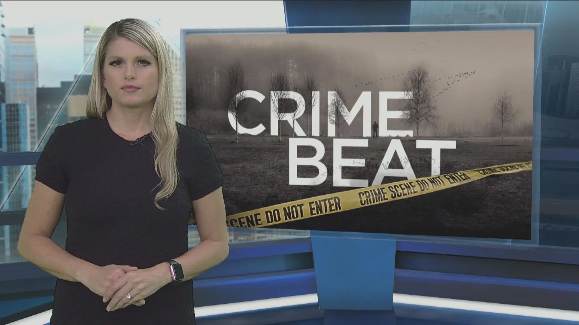 Crime Beat - Season 1