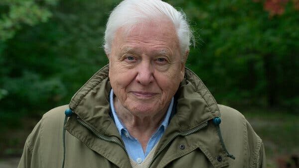 David Attenborough: A Life on Our Planet