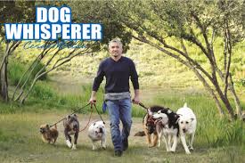 Dog Whisperer with Cesar Millan - Season 1