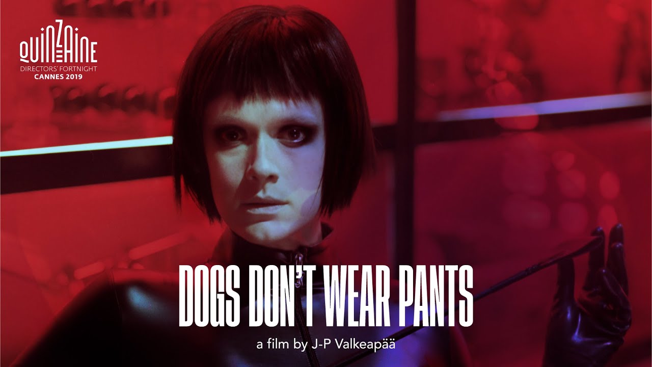 Dogs Don't Wear Pants