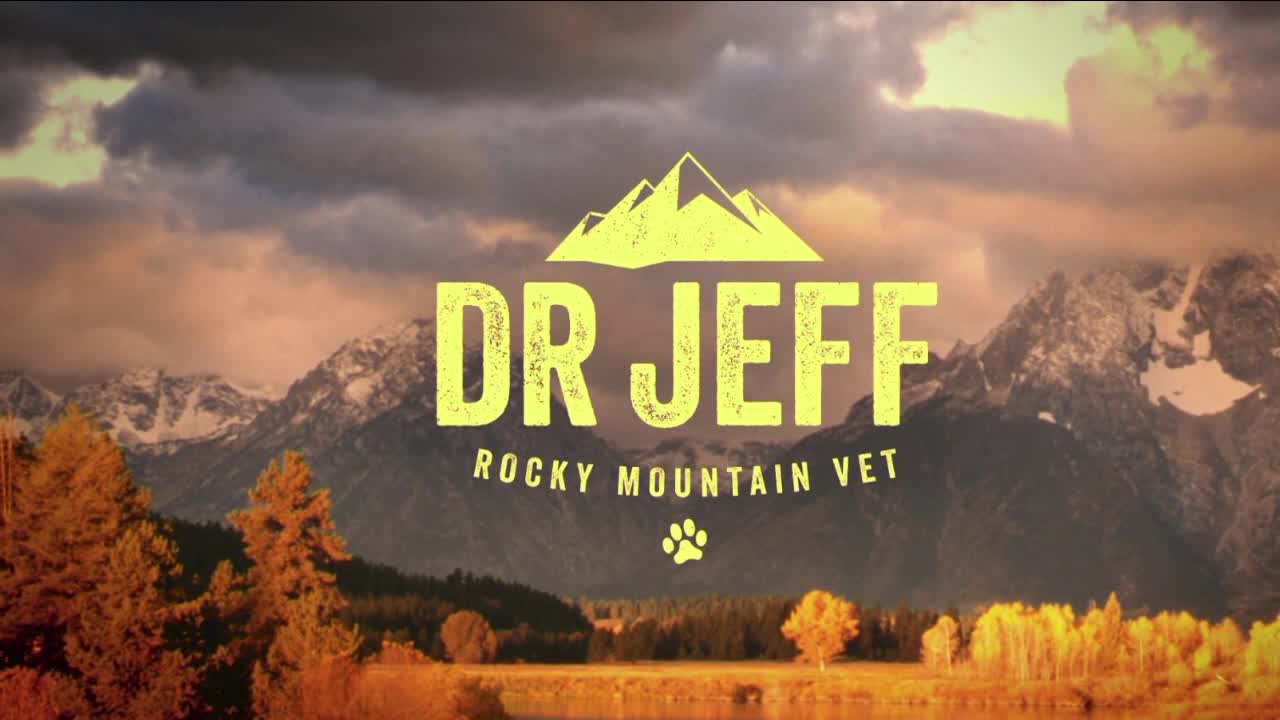 Dr. Jeff: Rocky Mountain Vet - Season 7