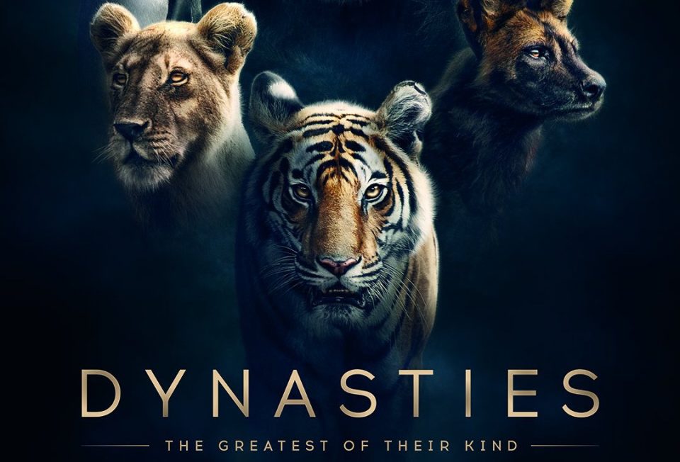 Dynasties - Season 1