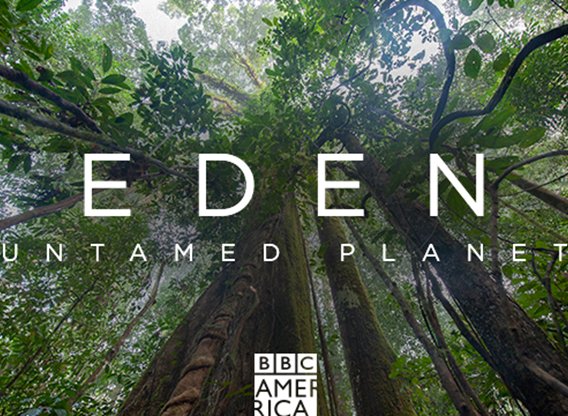 Eden: Untamed Planet - Season 1