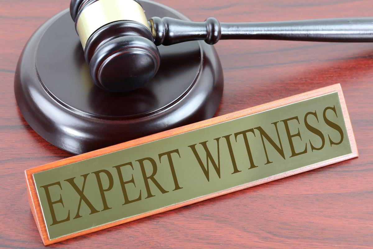 Expert Witness - Season 1